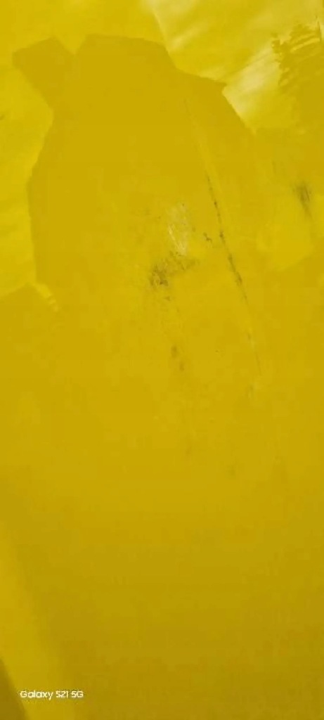 фото №8, Капот кришка двигуна ford mustang vi 2015