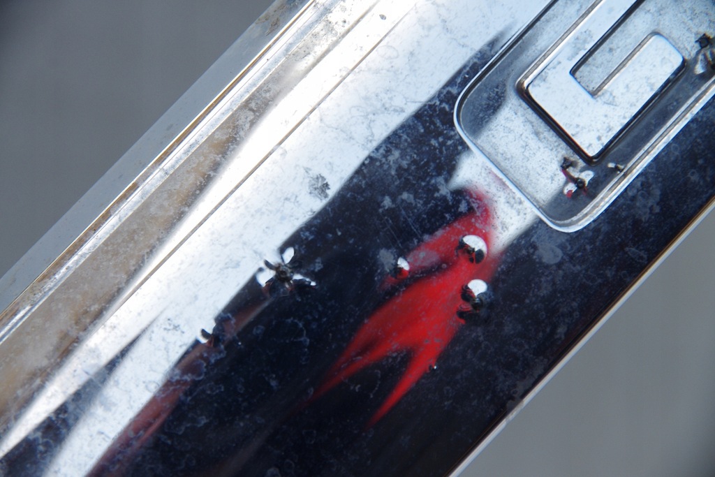 фото №3, Хром капот ford ranger ab39-8b189-ad