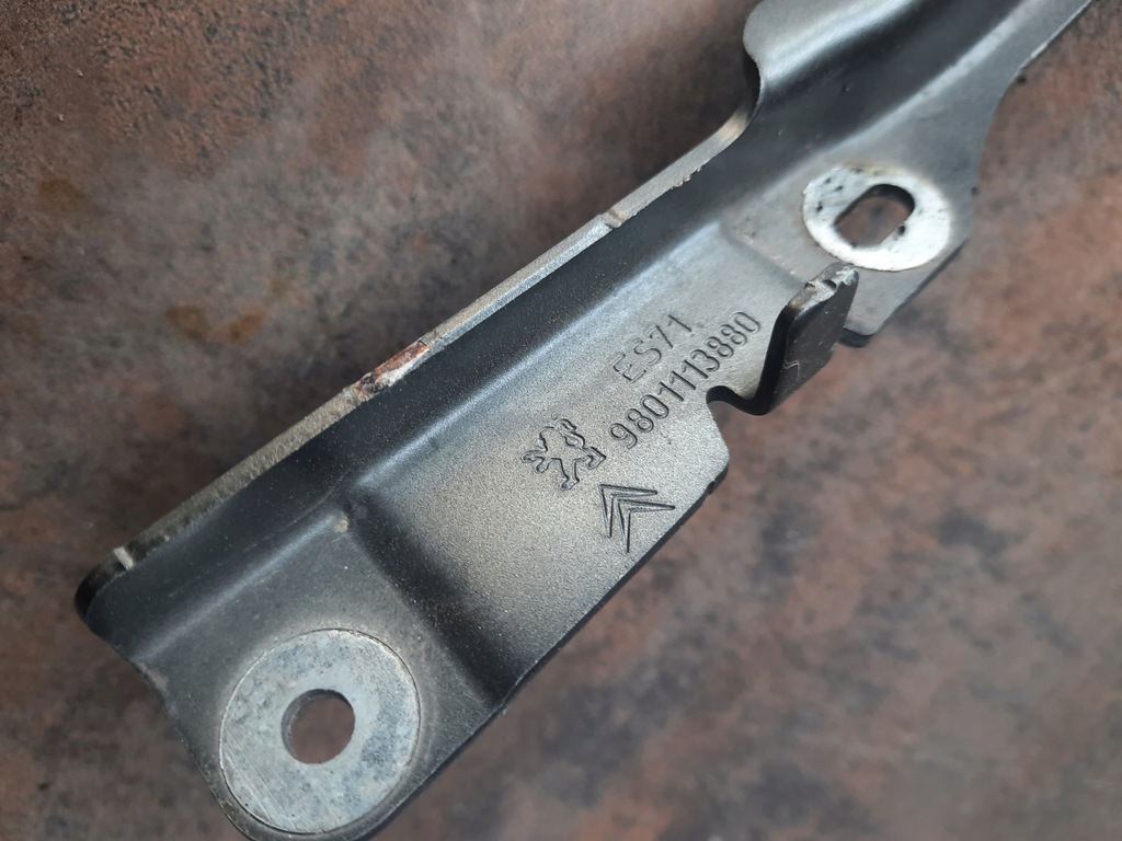 фото №5, C4 cactus петля капот