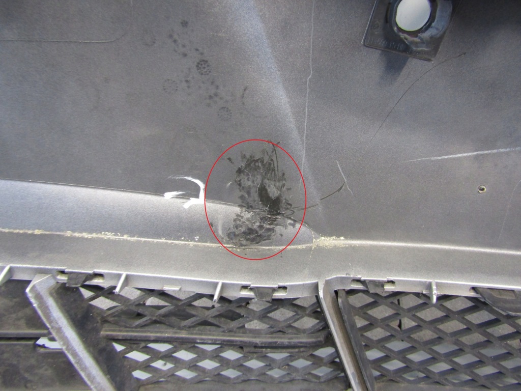 фото №12, Бампер перед передний bmw 5 f10 f11 10-13