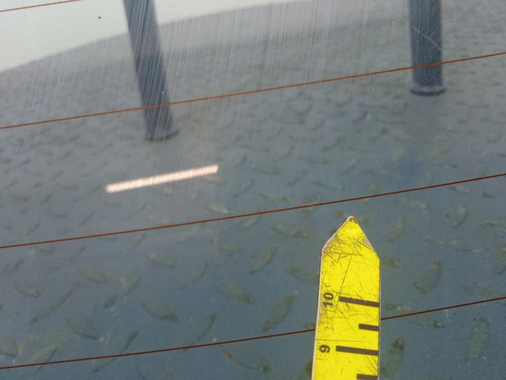 фото №8, Vw passat b8 sedan стекло задняя