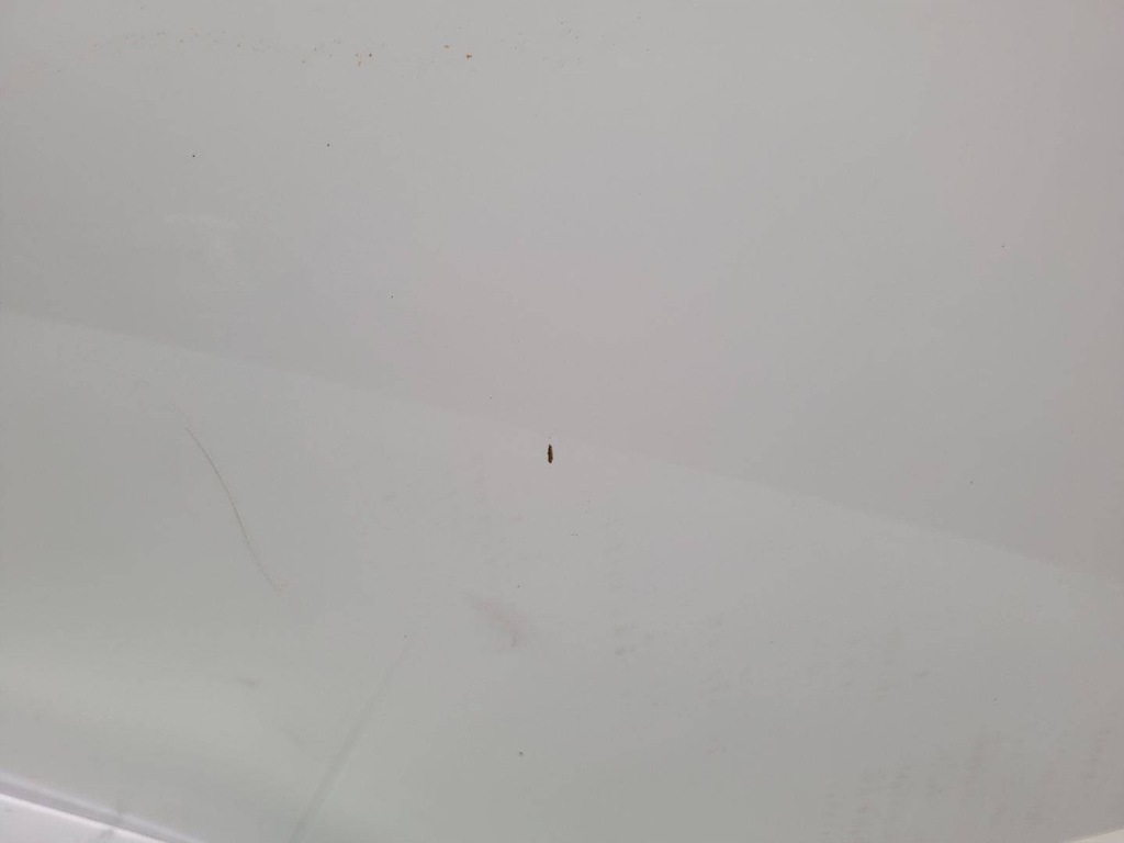 фото №7, Дверь задняя левая сторона alfa romeo giulia 952 2017