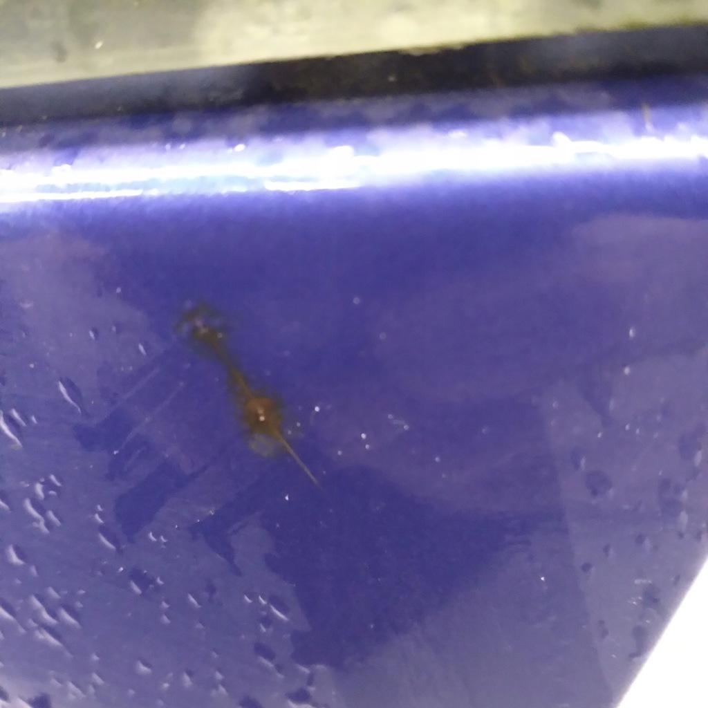 фото №7, Крышка багажника задняя задняя kia picanto