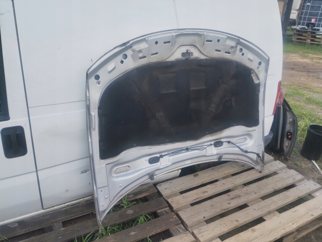 фото №9, Капот vw passat b5 lb7z