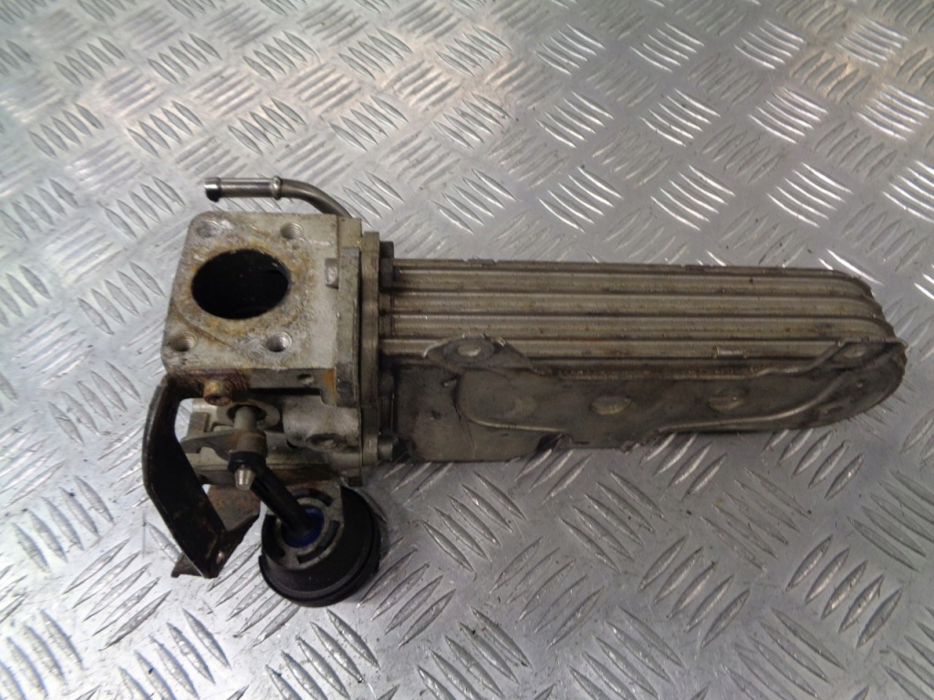 фото №1, Радиатор выхлопных газов seat leon ii 1.9 tdi 038131513ad