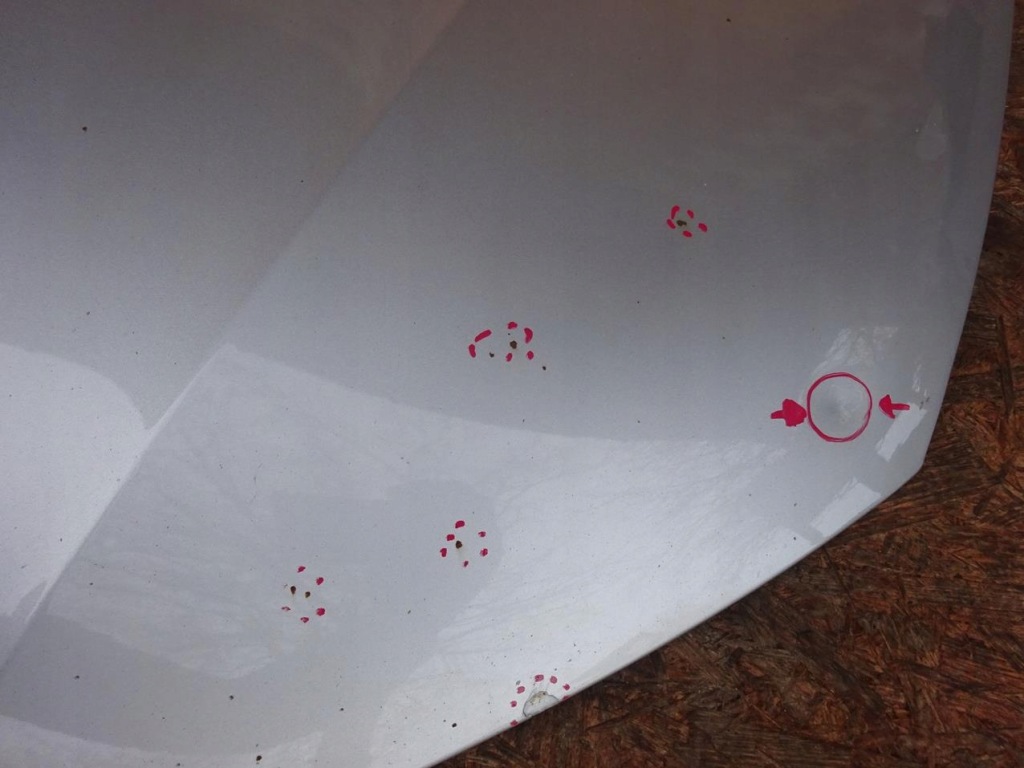 Audi a5 8t 07-11 капот кришка двигуна оригінал oem lx7w Зі Шроту