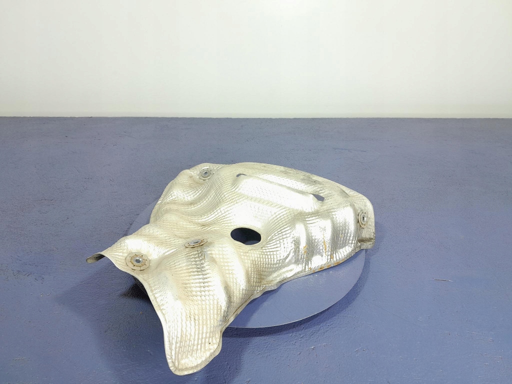 фото №1, Toyota rav4 v xa50 2.5 hyb захист теплова