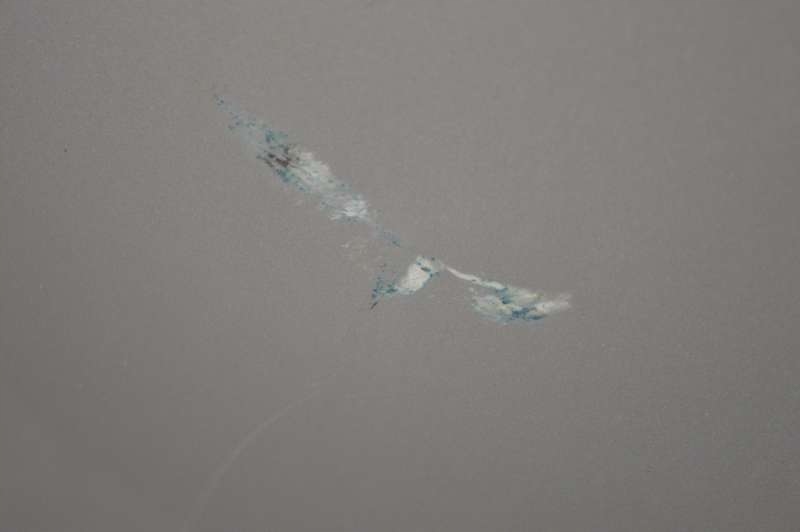 фото №6, Капот крышка двигателя audi a6 c6