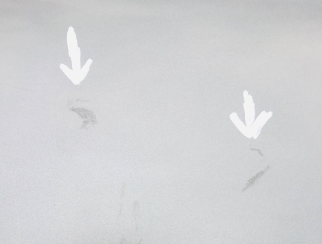 фото №5, Bmw 2 f45 дверь левая задние задняя