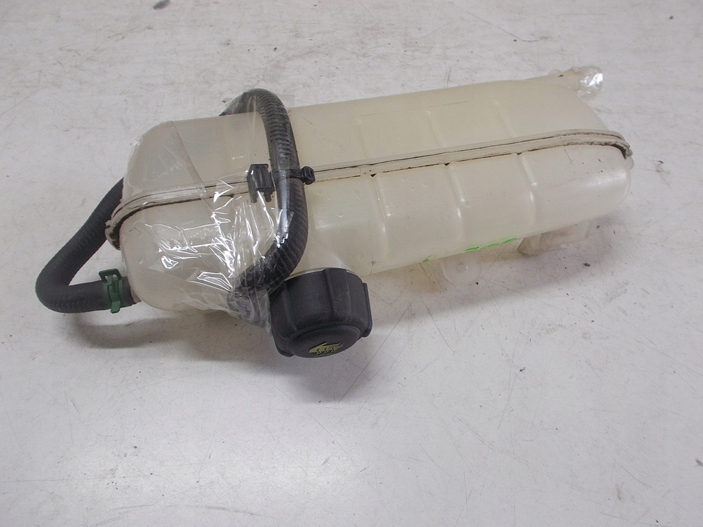 фото №1, Renault zoe бачок wody