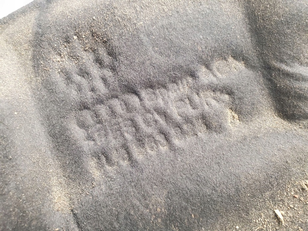 фото №7, Audi q3 8u 8u0863825a шумоизоляция