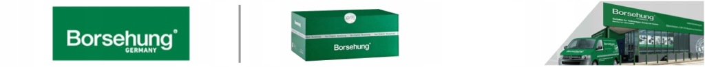 Насос сцепления [borsehung] Недорого