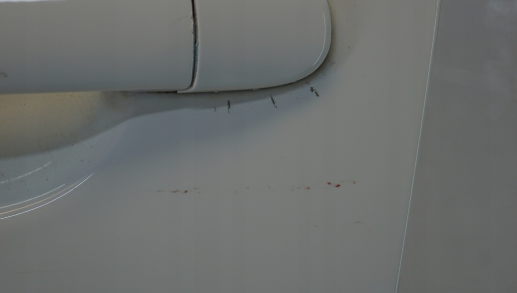 фото №11, Дверь левый перед seat leon ii lift