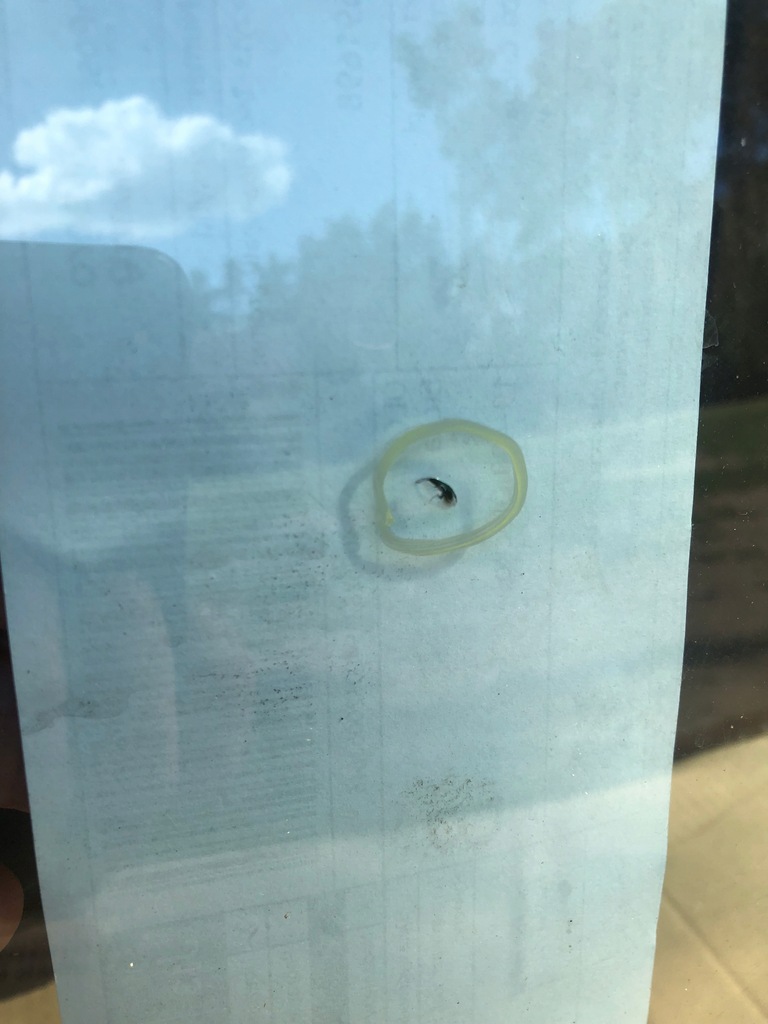 фото №5, Alfa romeo 159 стекло передняя лобовое