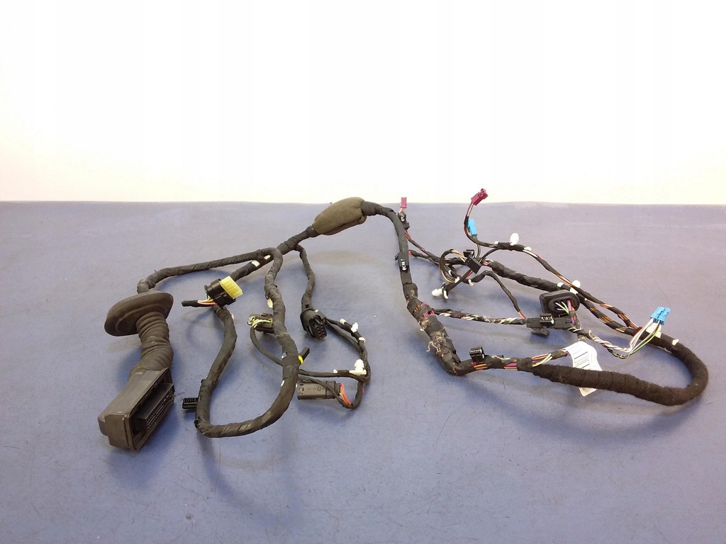 фото №1, Bmw 5 g30 жгут дверь правый задняя 11107810