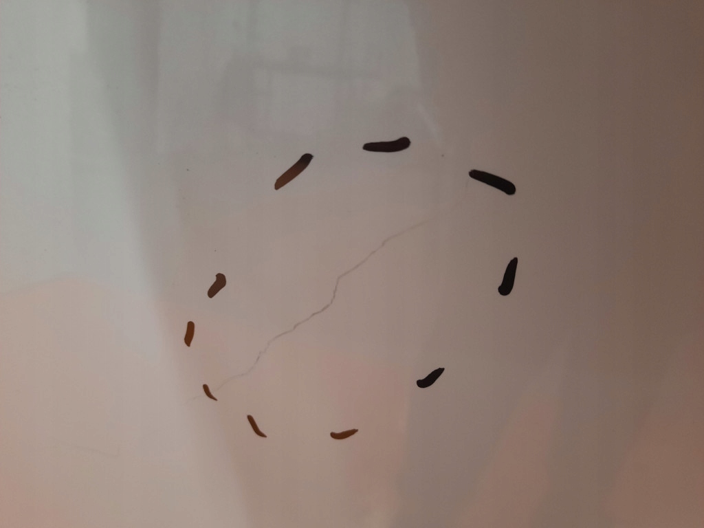 фото №6, Toyota corolla xi e16 13-19 капот передняя крышка двигателя перед