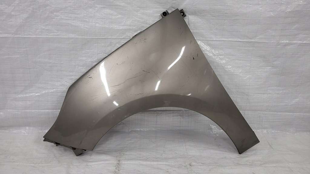 фото №1, Крила лівий передній renault scenic iii 09-