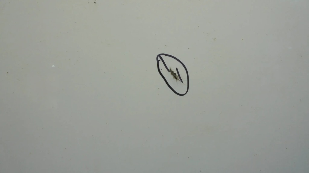 фото №9, Дверь левая сдвижные ford transit mk6 06-