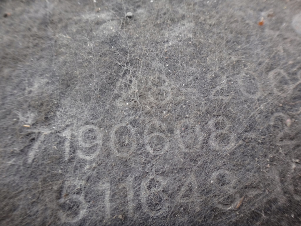 Підкрилок праве правий задній задні mini cooper r57 r58 Доставка