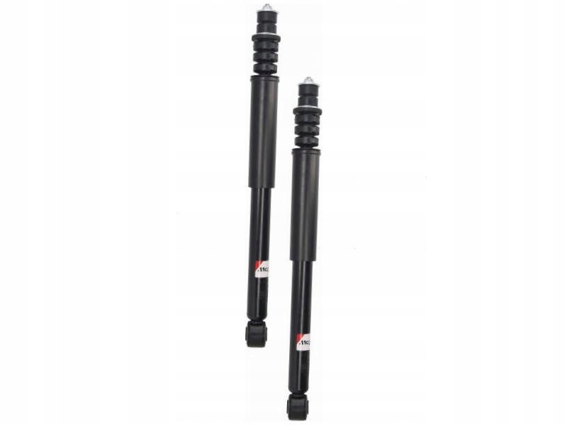 фото №1, Амортизаторы задняя renault twingo ii 1.1 1.5 07-14