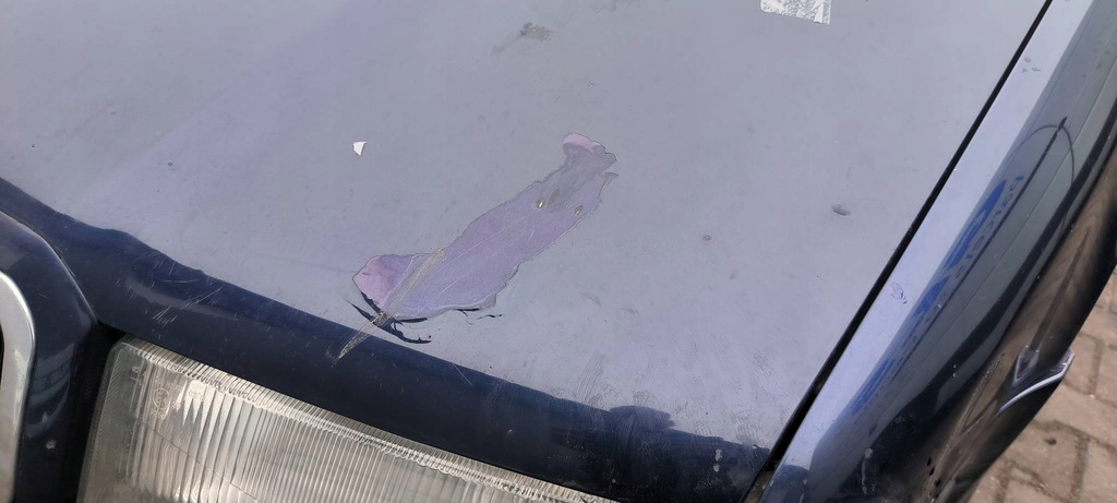 фото №2, Капот f5u skoda octavia i