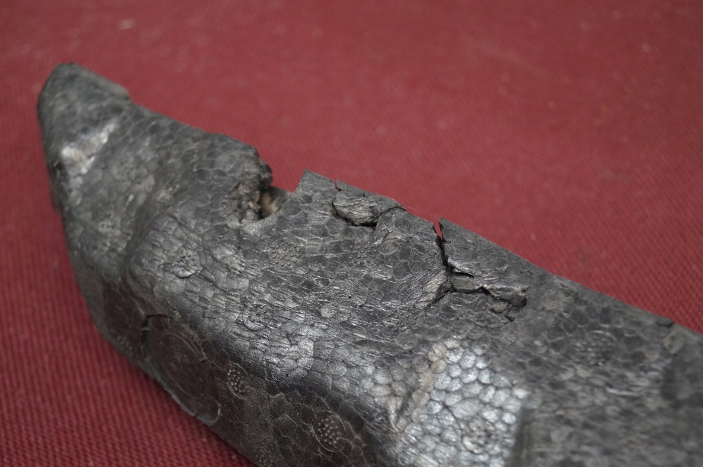 фото №8, Opel оригінальний номер 95108132 абсорбер бампера