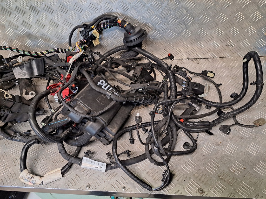 фото №15, Ford puma 2020 r 1.0 ecoboost електропроводка відсік двигуна n1tt-14b060-pbd