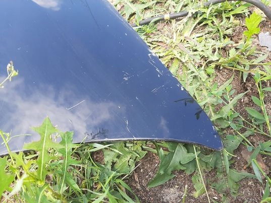 фото №4, Капот кришка двигуна peugeot 4007