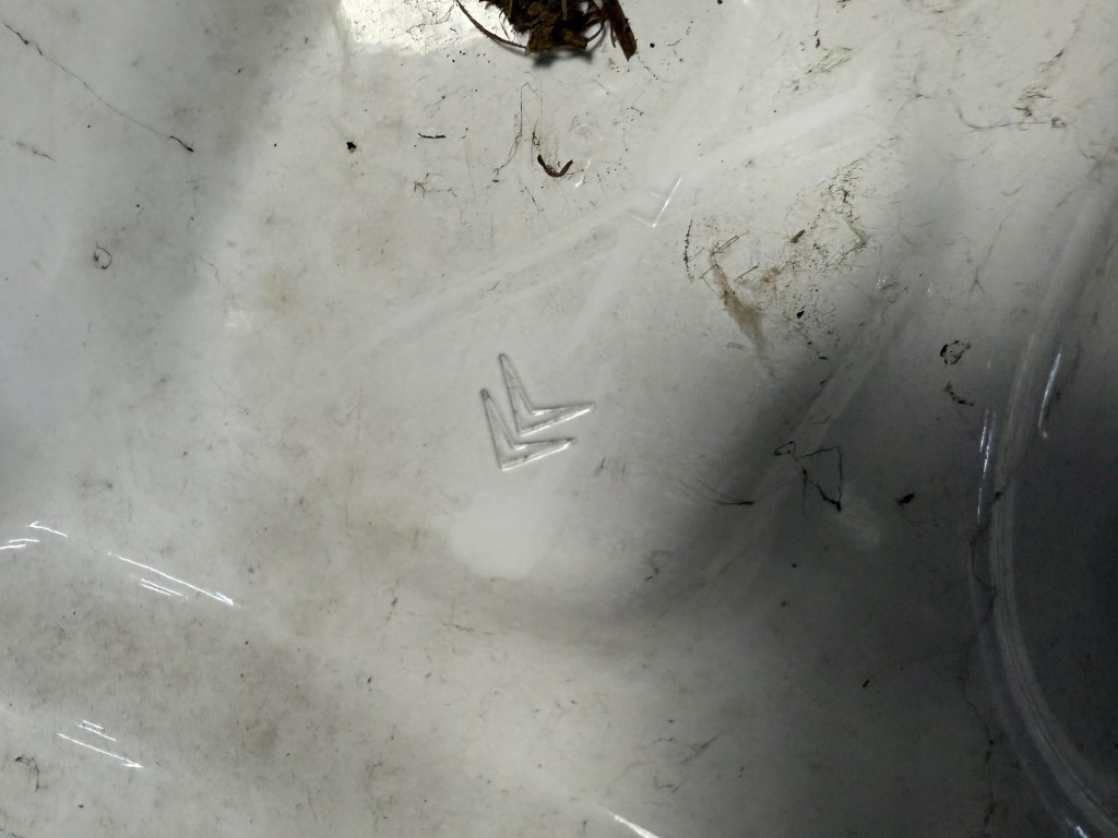 Капот кришка двигуна перед citroen c-elysee 2012- bardzo ladna оригінальна Зі Шроту