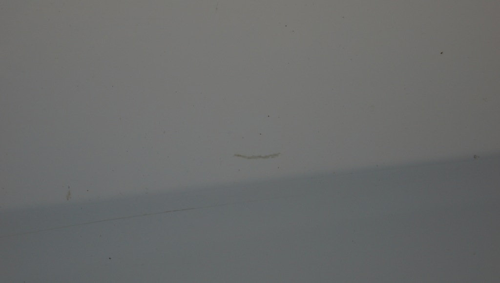 фото №7, Дверь правый перед seat leon ii lift