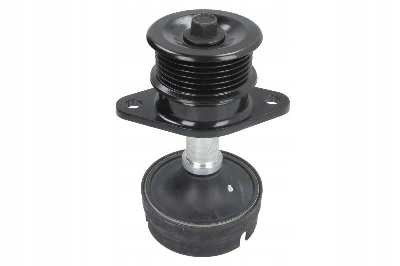 Шкив, генератор schaeffler ina 532 0612 10 Доставка