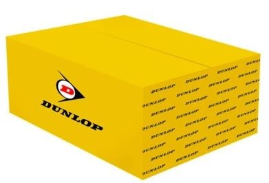 фото №1, Амортизатор пневматичний das10113 dunlop