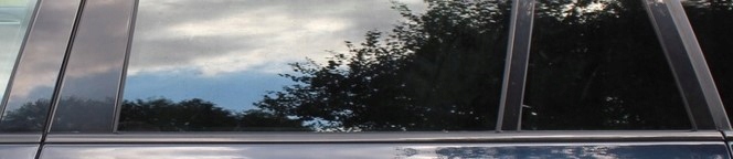 фото №1, Молдинг декоративна двері лівий задня bmw x5 e70 shadow
