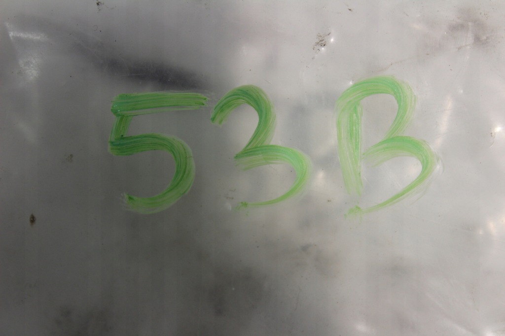 фото №6, Резиновый элемент прокладка дверь правое задняя mercedes gle 167 w167 nowa a1676980802