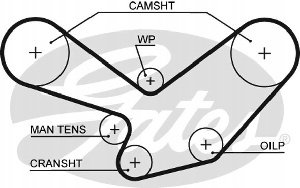 фото №4, Gates 5096 ремень распределительного вала