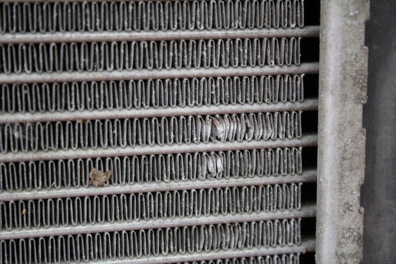 Радиатор воды seat leon 1 1 1.4 16v 99-05 Киев