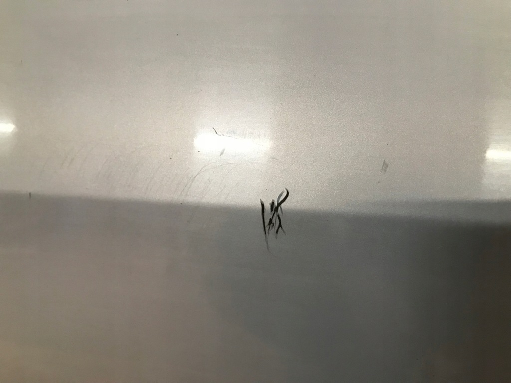 фото №2, Двері правий перед renault scenic ii