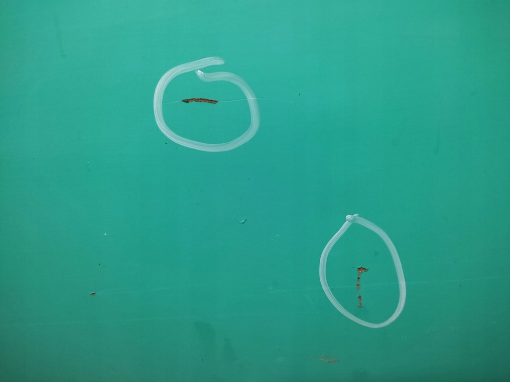 фото №5, Fiat 126p двері лівий перед