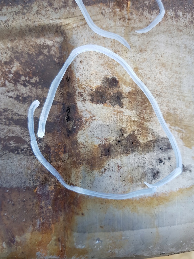 фото №6, Гаситель катализатор scania r euro 4 1538681