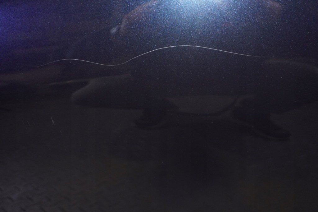 фото №7, Дверь левый задняя bmw x3 g01 f97 416