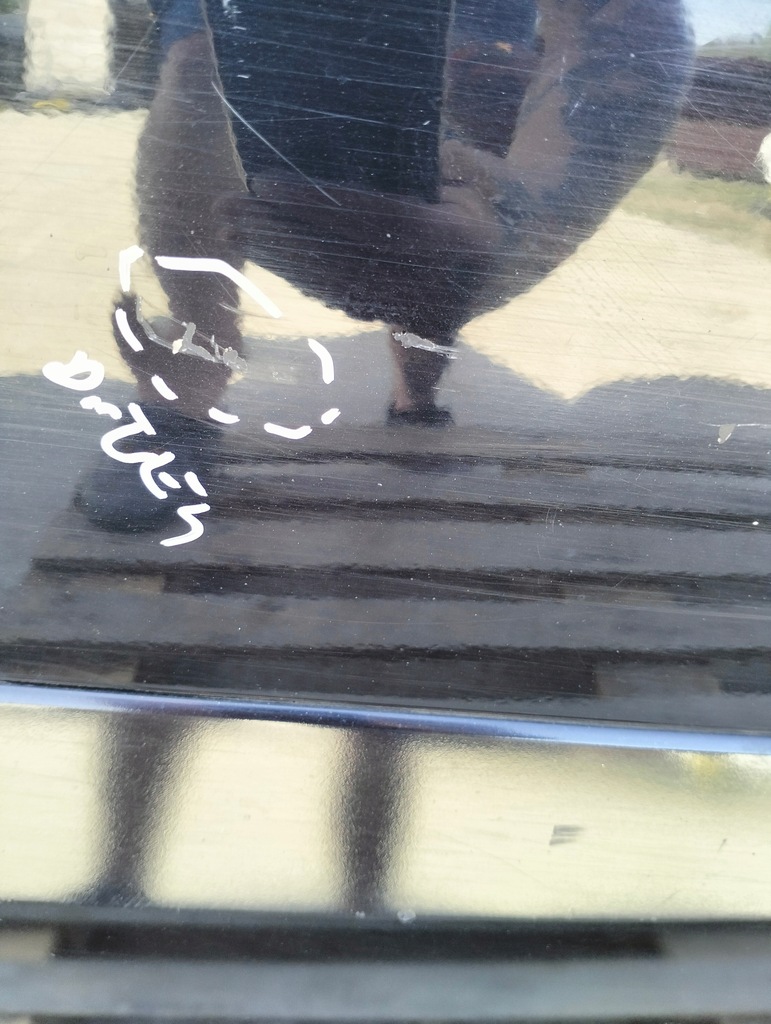 фото №6, Дверь левый задняя задние renault koleos i lata 2007-2011