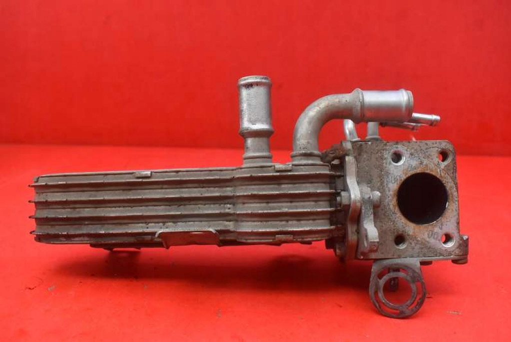 фото №5, Радіатор вихлопних газів 038131513ad seat leon 2 ii 1.9 tdi 105 km 05-09