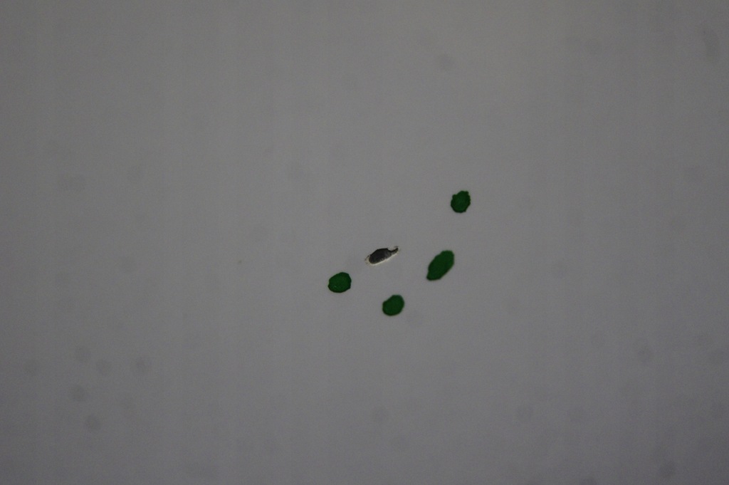 фото №8, Двері праве задні зсувні frozen white transit courier