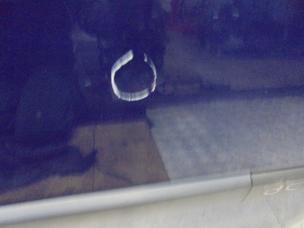 фото №3, Двері правий перед renault scenic ii dv460