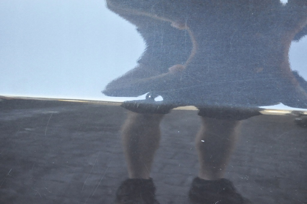 фото №9, Orlando дверь левый перед левая передние europa