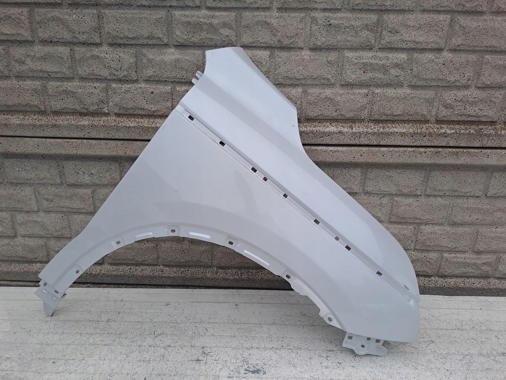 фото №1, Koleos ii 2 2018-2024 крила правий перед металевий оригінал