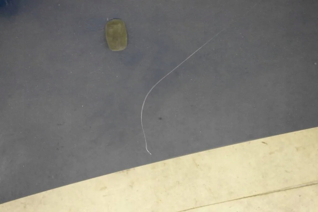 фото №10, Капот ford fusion 02-05