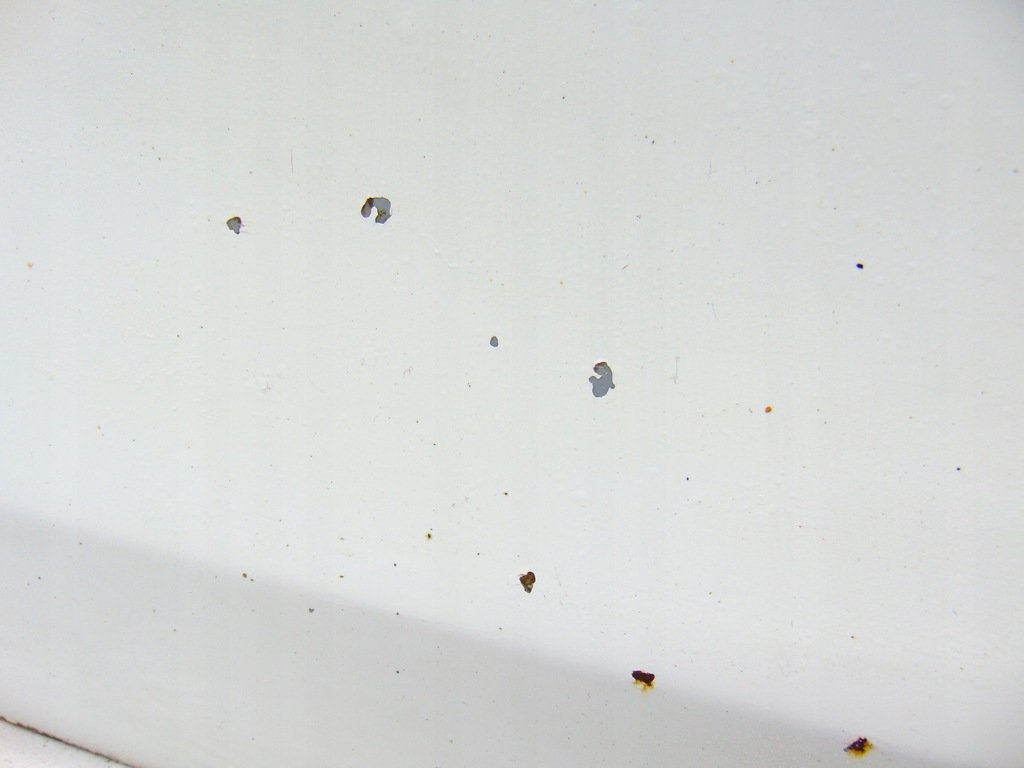 фото №11, Дверь правое правый перед передние audi tt 8j цвет ly9c