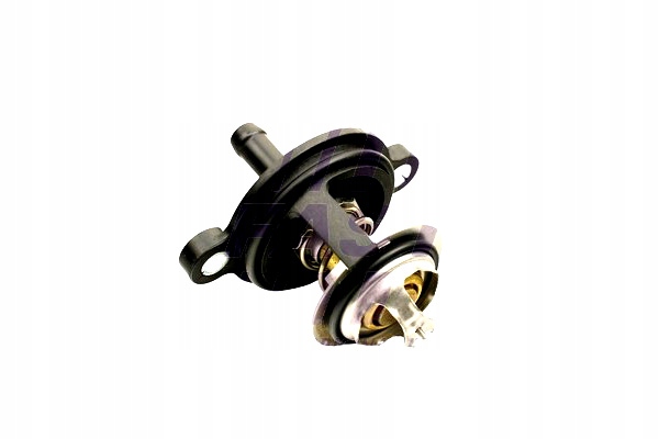 фото №2, Fast ft58038 термостат, рідина охолоджуючий