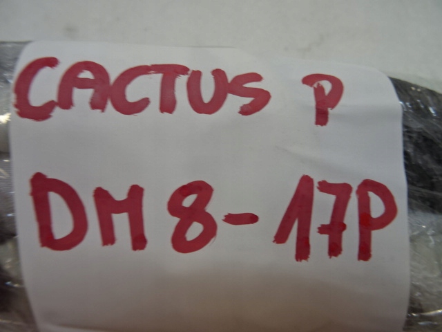 фото №11, Citroen c4 cactus правая шторка безопасности воздушная air bag 9804358780